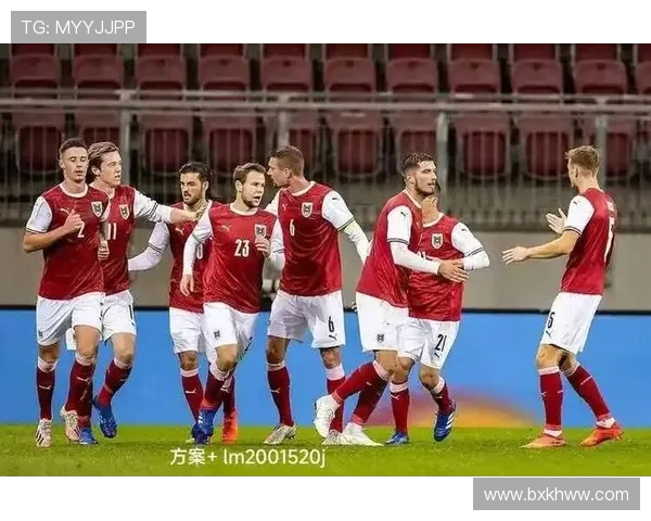 德甲14支球队：探索德甲联赛的14支参赛球队及其特点