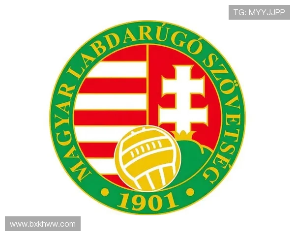 围绕6月16日世界杯小组赛的焦点对决与出线形势前瞻分析全景观 围绕6月16日世界杯小组赛的焦点对决与出线形势前瞻分析全景观